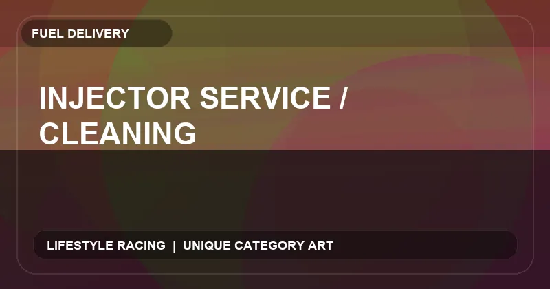 Injector Service / Cleaning